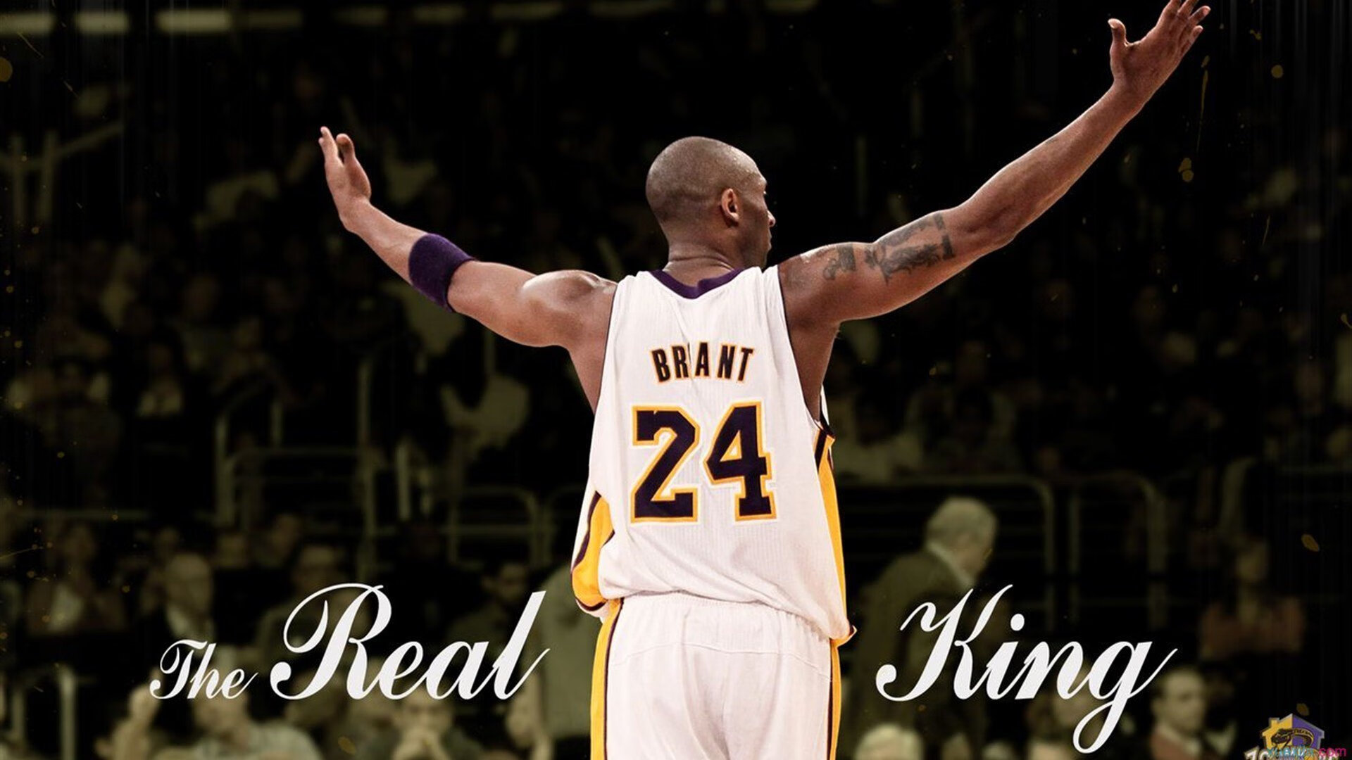 最新排名公布,谁能实现“最后逆袭”?