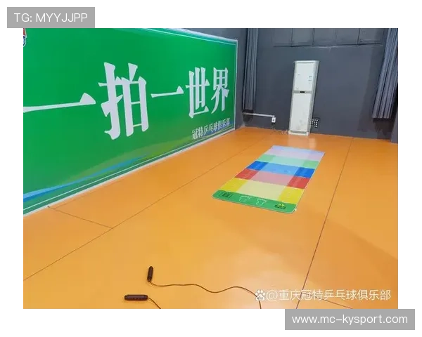 乒乓球俱乐部推动青少年训练的学业兼顾与成长规划,乒乓球俱乐部运营方案及管理