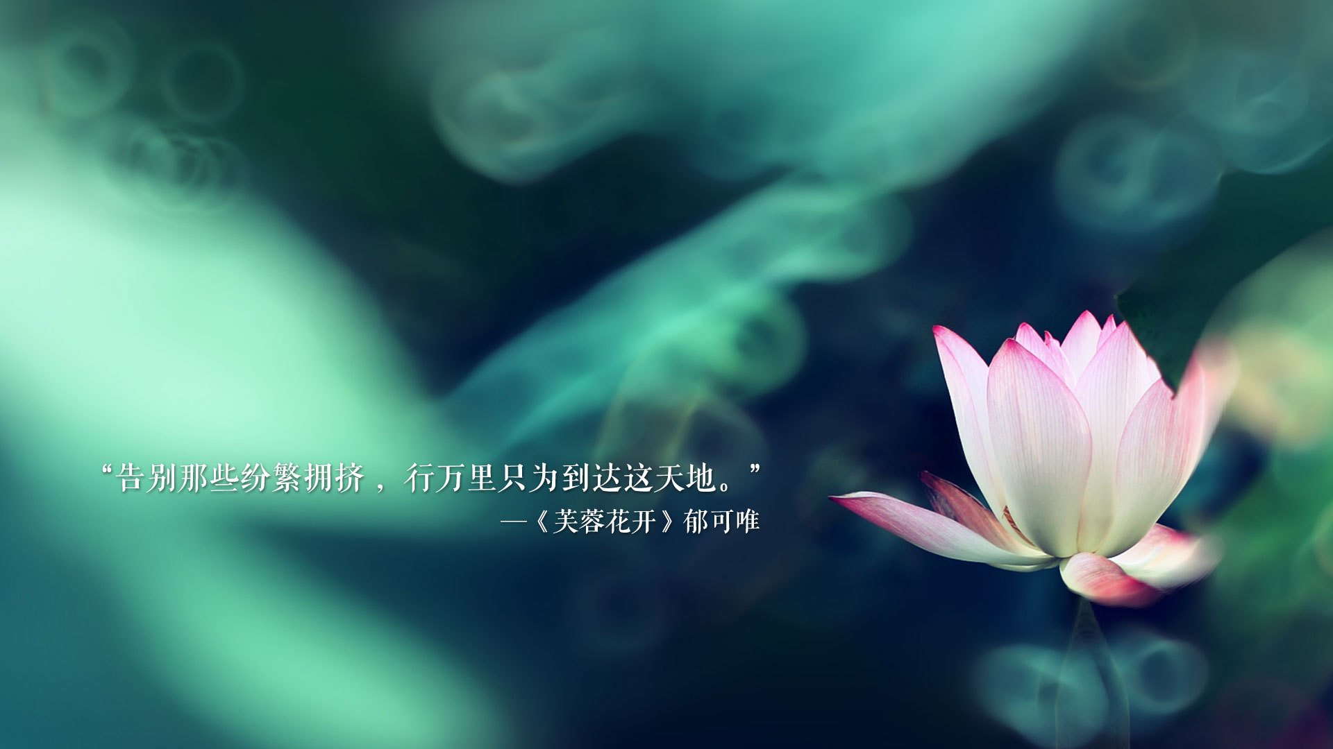 历史战役：五大联赛史上最经典的决战瞬间回顾，五大联赛历史冠军