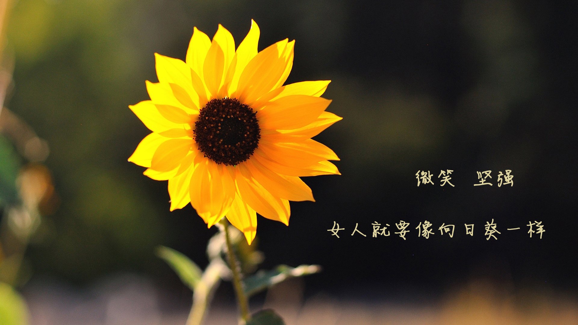 开云体育官网登入-西甲球队热区密度图调整防守站位和协防策略，西甲热身赛赛程