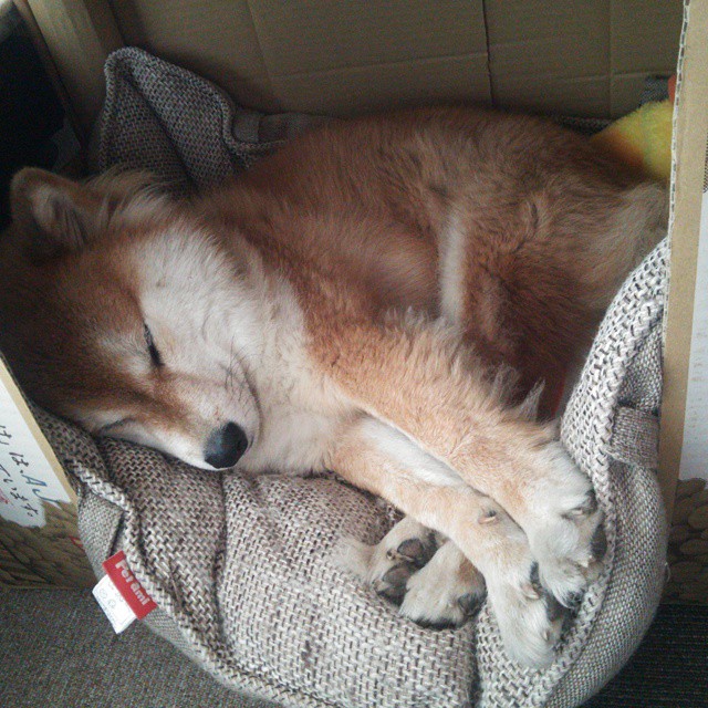 开云官网登录-中国香港队赛制剖析：如何在团体赛中充分利用球员的优势，香港队再添一枚金牌