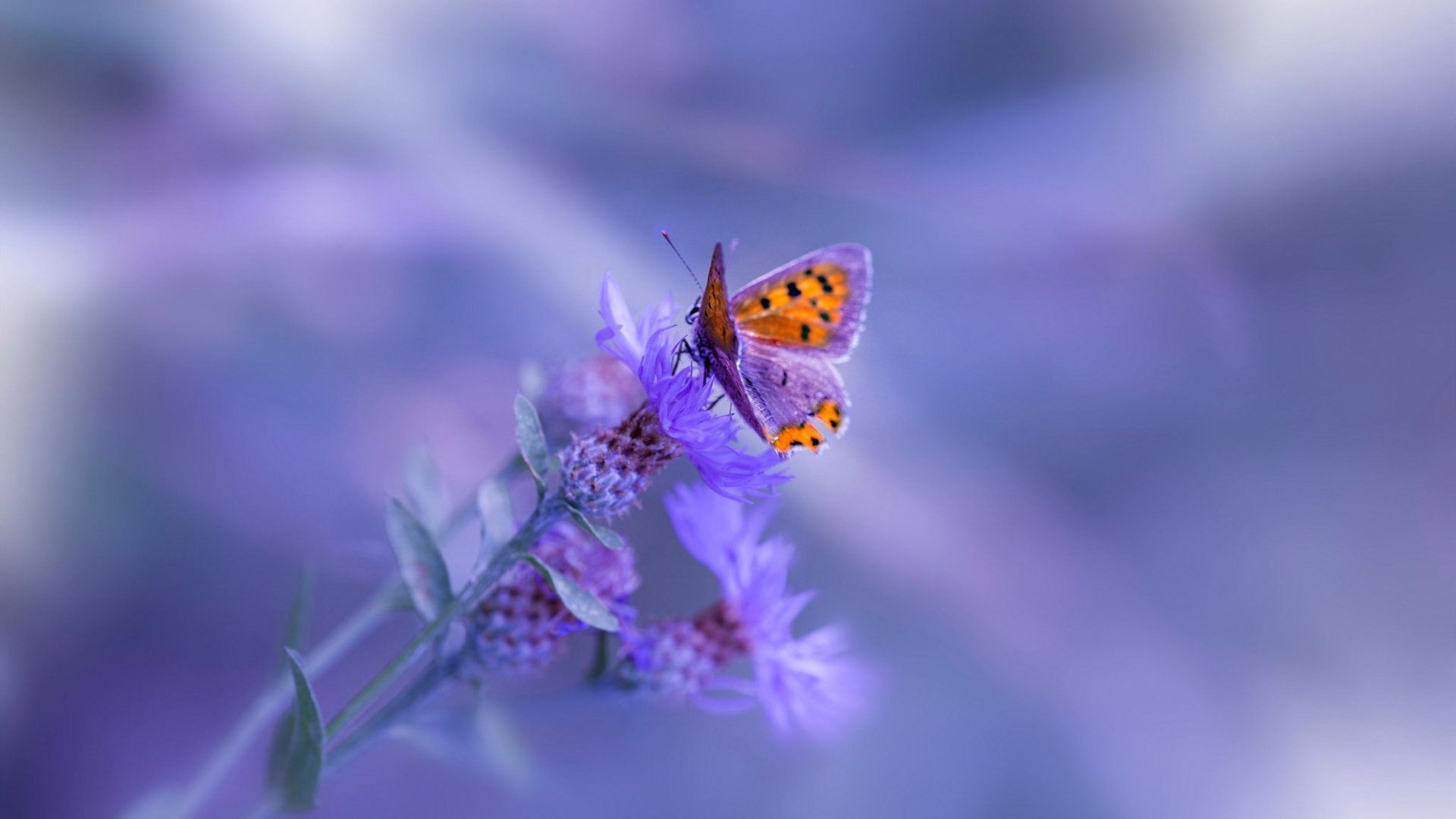 中超联赛球队竞争日益激烈，中超联赛球队竞争日益激烈的原因