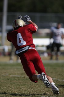 kaiyun登录入口-五大联赛争四阶段关键球员贡献值差异对比，五大联赛引援