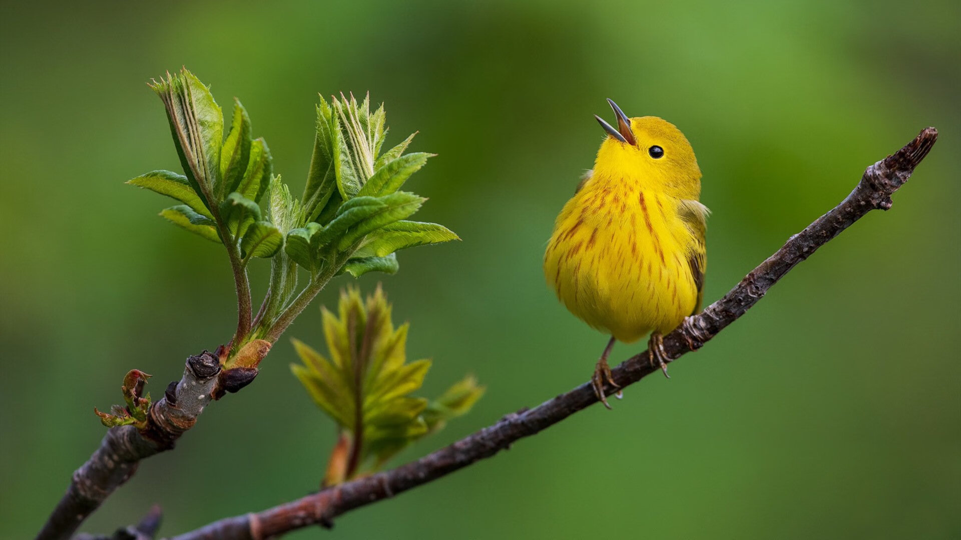 中国足球青少年训练课程涵盖足球历史知识,中国青少年足球发展规划纲要
