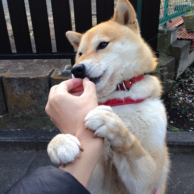 乌拉圭男篮在南美锦标赛中夺冠，体育影响力快速扩大，乌拉圭男篮实力