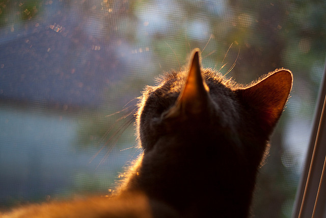 开云电竞平台注册-哈斯克100米自由泳决赛表现无懈可击，哈斯克100米自由泳决赛表现无懈可击吗