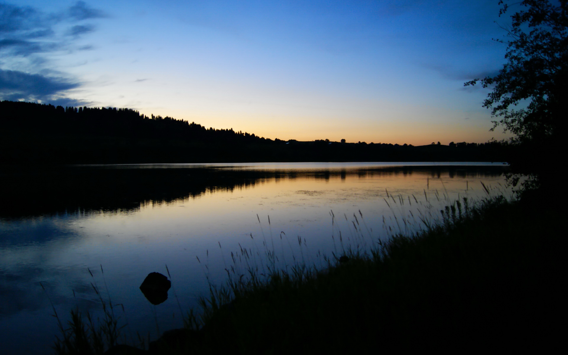 开云官网登录-塔特的快速反应与决策能力，是袋鼠队成功的关键，塔特是什么意思