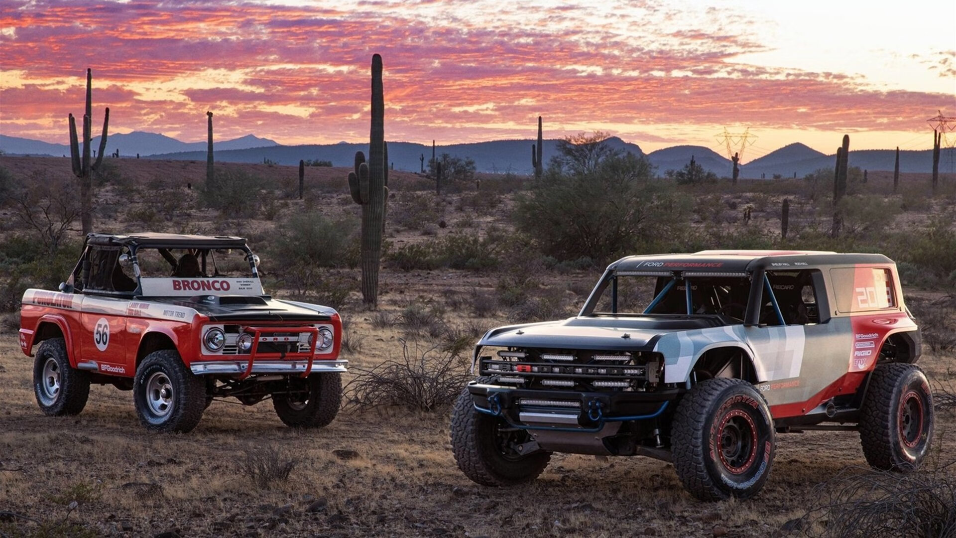 尼克斯强调抢断能力转化为快攻机会，尼克斯战胜奇才